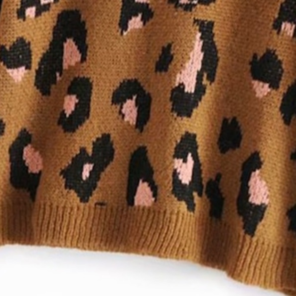 Leopard Print Sweater - Picture 3 of 3